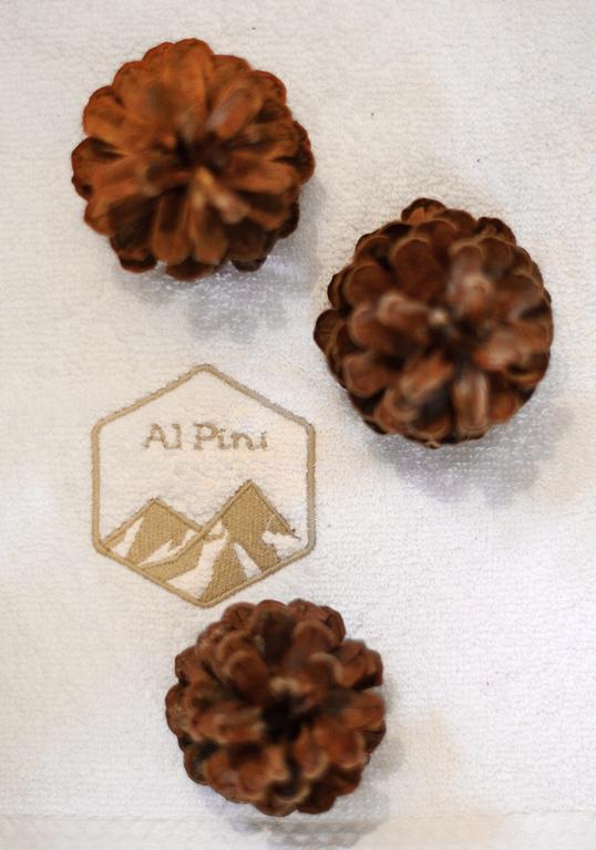 Alpini Apartamenty Zakopane Quarto foto